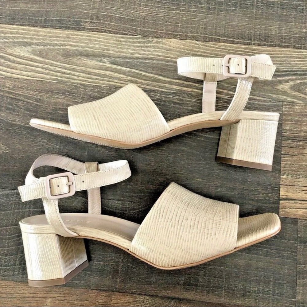 Everlane The Block Heel Sandal Sand Lizard Size 10
